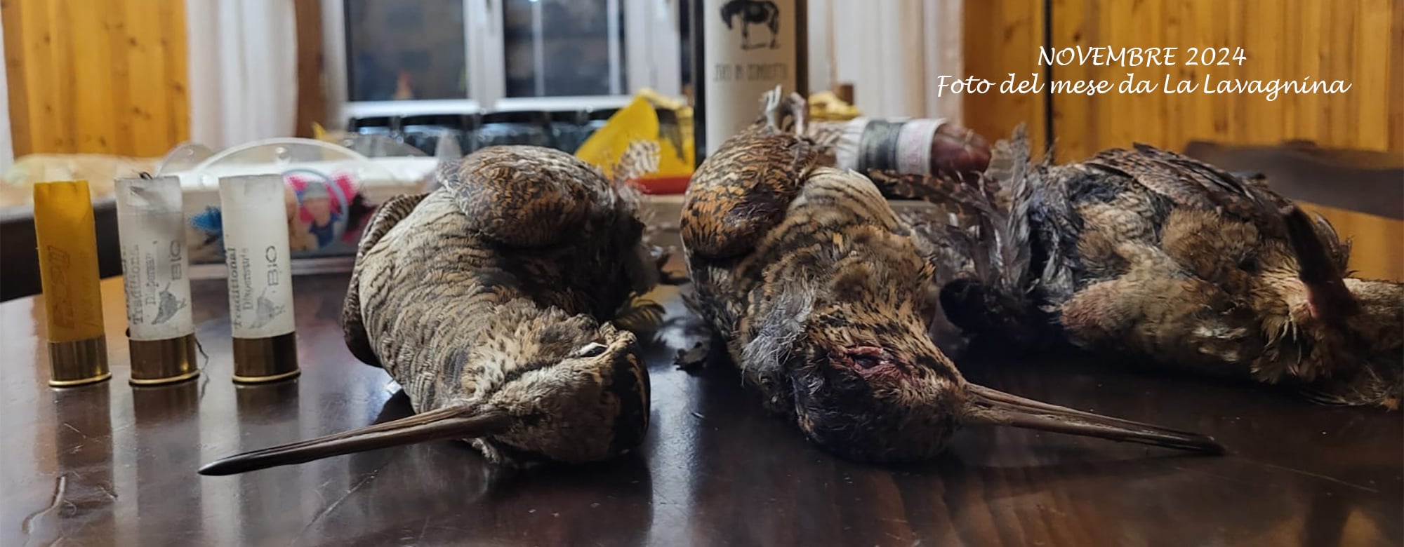 Riserva di caccia La Lavagnina