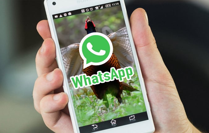 Turismo Venatorio caccia in riserva whatsapp