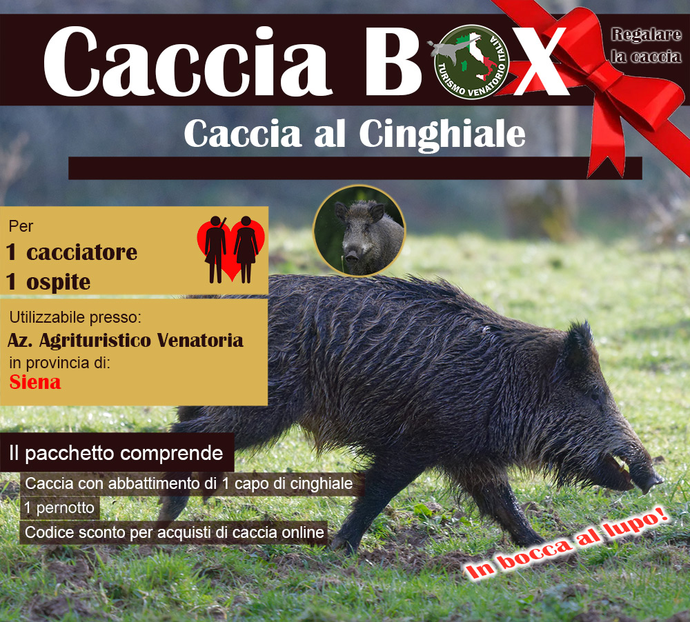 regala la caccia in Italia Siena Toscana cinghiale