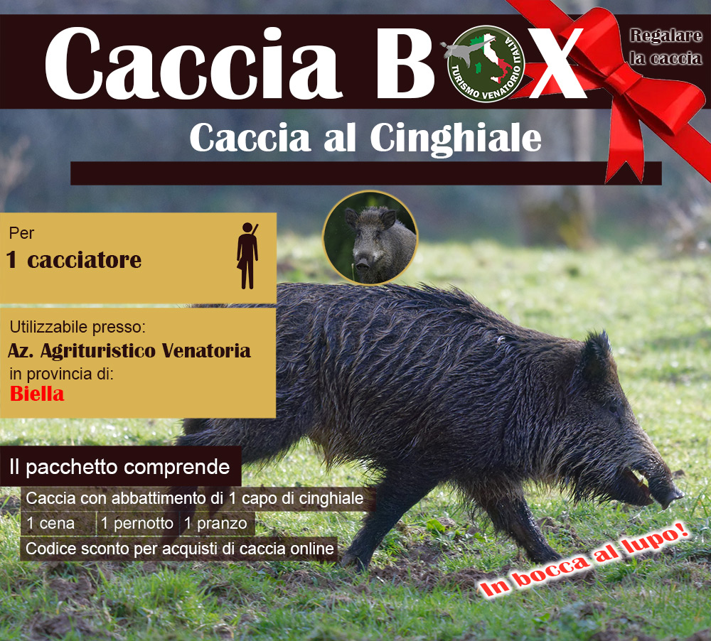 regala la caccia in Italia Biella Piemonte cinghiale