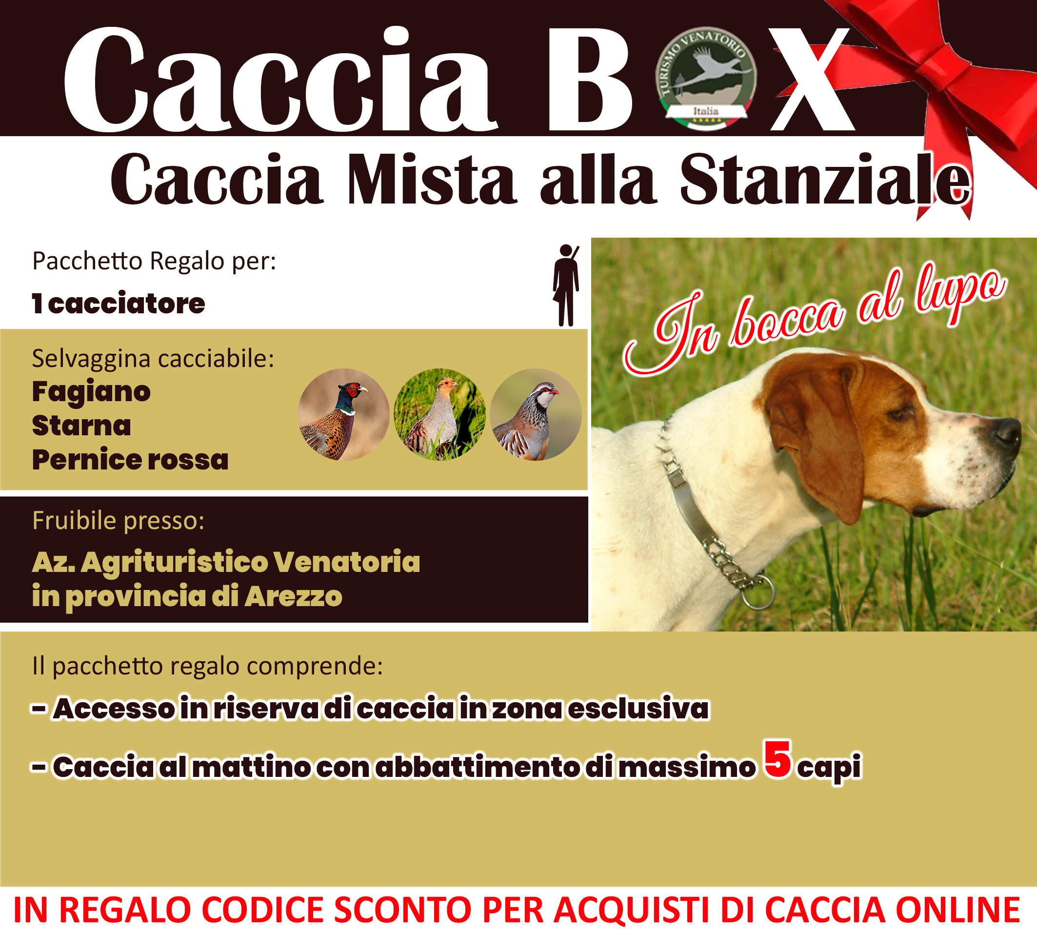 regala la caccia in Italia Arezzo Toscana fagiano starna pernice rossa