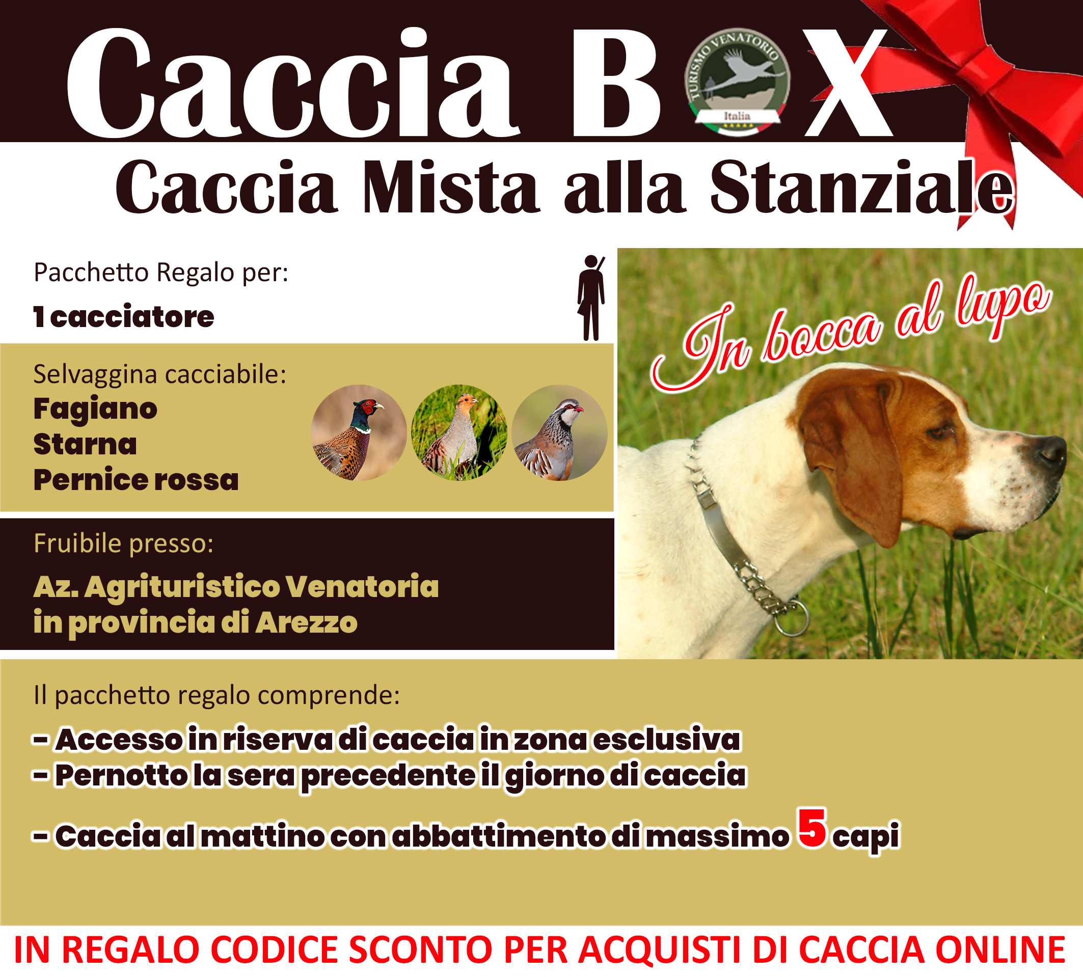 regala la caccia in Italia Arezzo Toscana fagiano starna pernice rossa