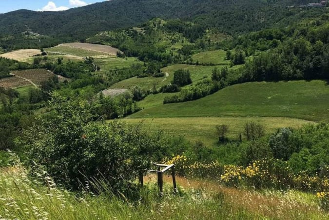 Turismo Venatorio a caccia in Piemonte