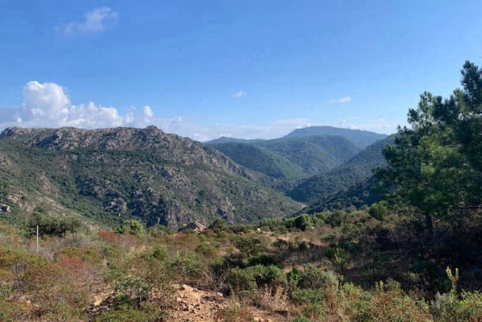 Turismo Venatorio a caccia in Sardegna