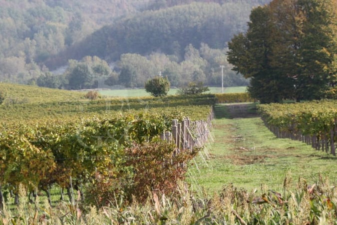 Turismo Venatorio a caccia in Lombardia