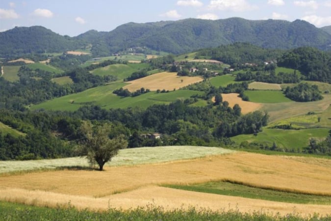 Turismo Venatorio a caccia in Emilia Romagna