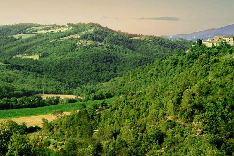 Riserva di caccia Poggio Aquilone Umbria