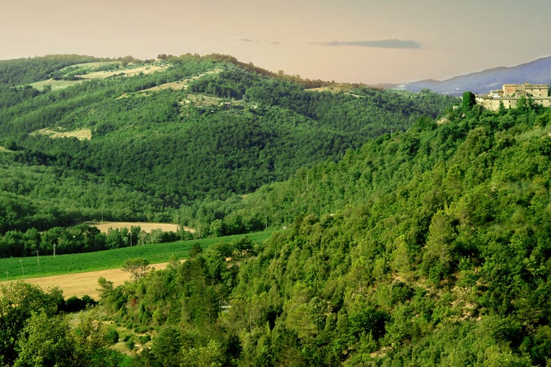 Riserva di caccia Poggio Aquilone Umbria
