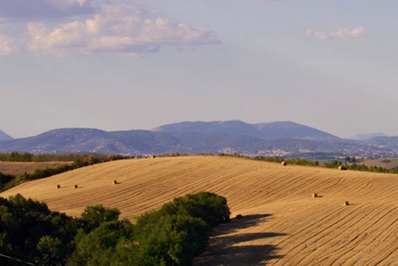 Riserva di caccia Poggio Aquilone Umbria