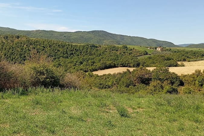 Turismo Venatorio a caccia in Umbria