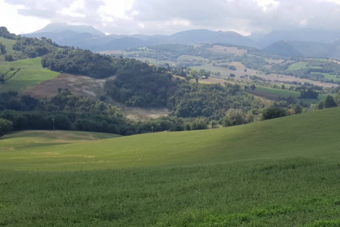 Turismo Venatorio a caccia nelle Marche