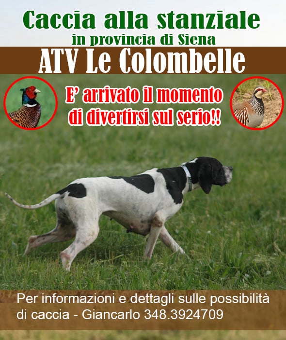 Le colombelle riserva di caccia toscana fagiano e pernice rossa Turismo Venatorio